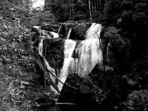 Waterfalls Otways Ranges
