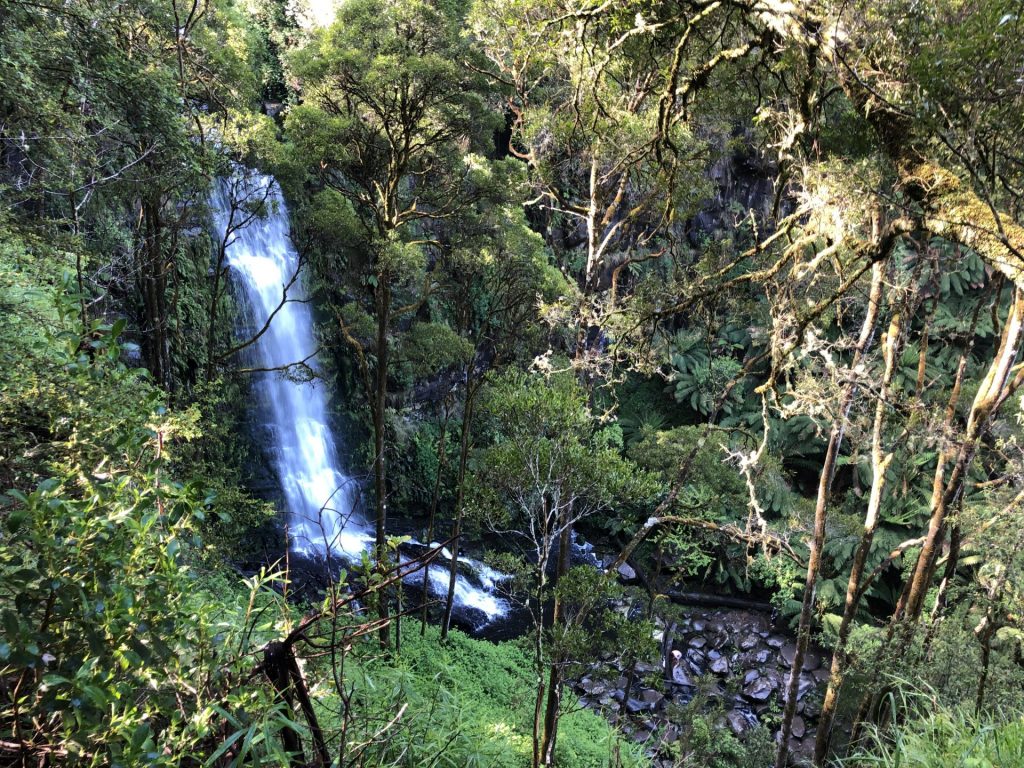 Erkine Falls Walk Otway Ranges