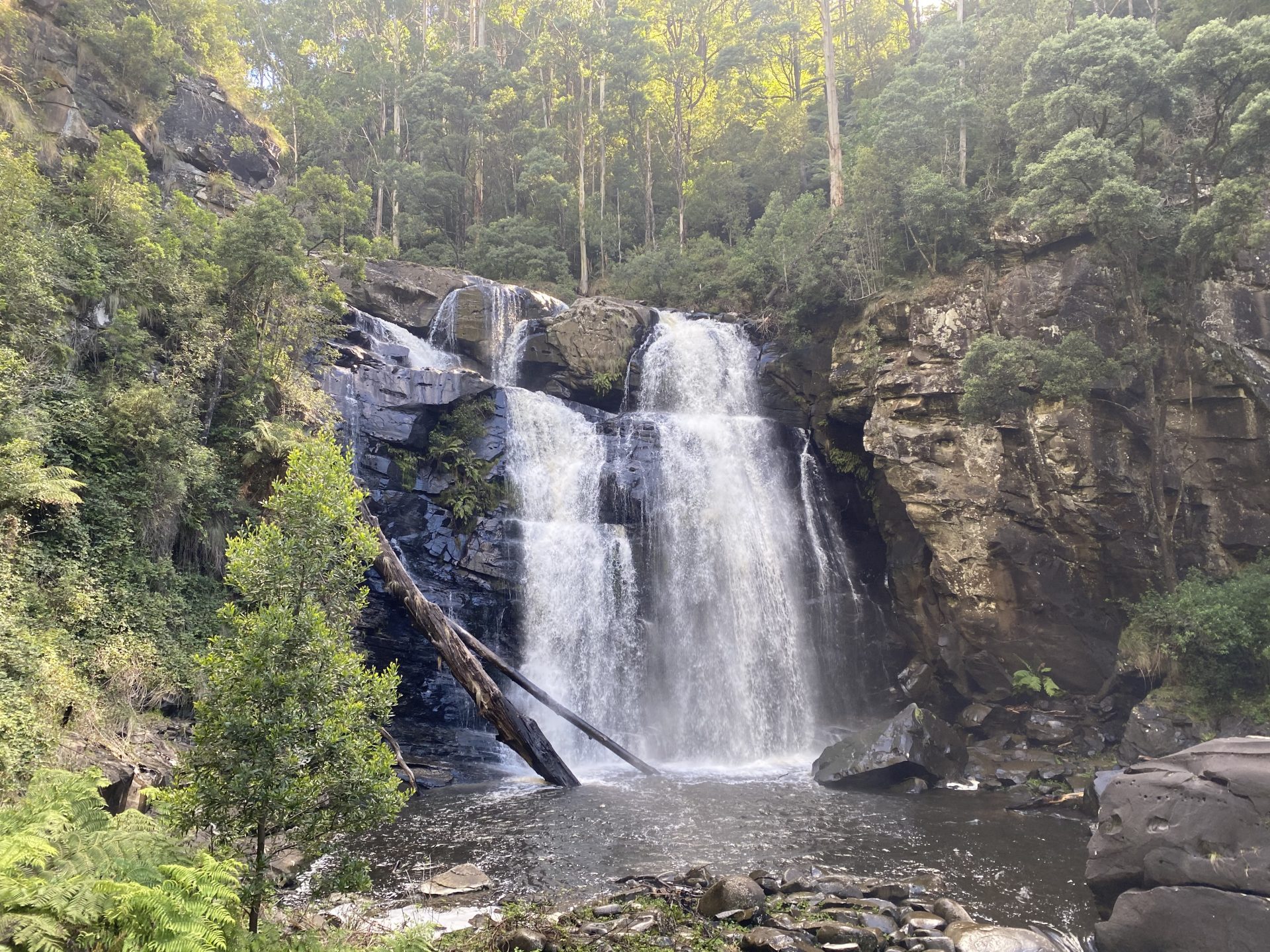 Stevensons Falls, Barramunga Otway Ranges