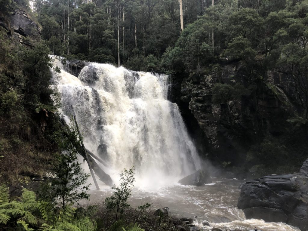 Stevensons Falls, Barramunga Otway Ranges