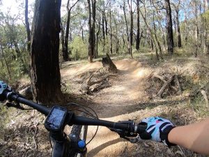 Yaugher Trails Forrest Bike Friendly Accommodation