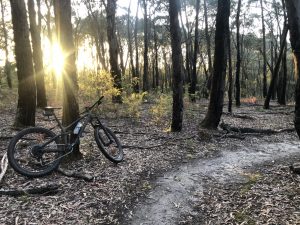 Yaugher Trails Forrest Bike Friendly Accommodation
